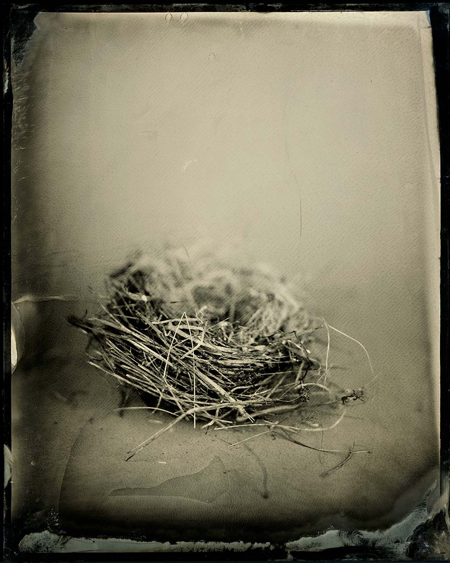04_nest.jpg