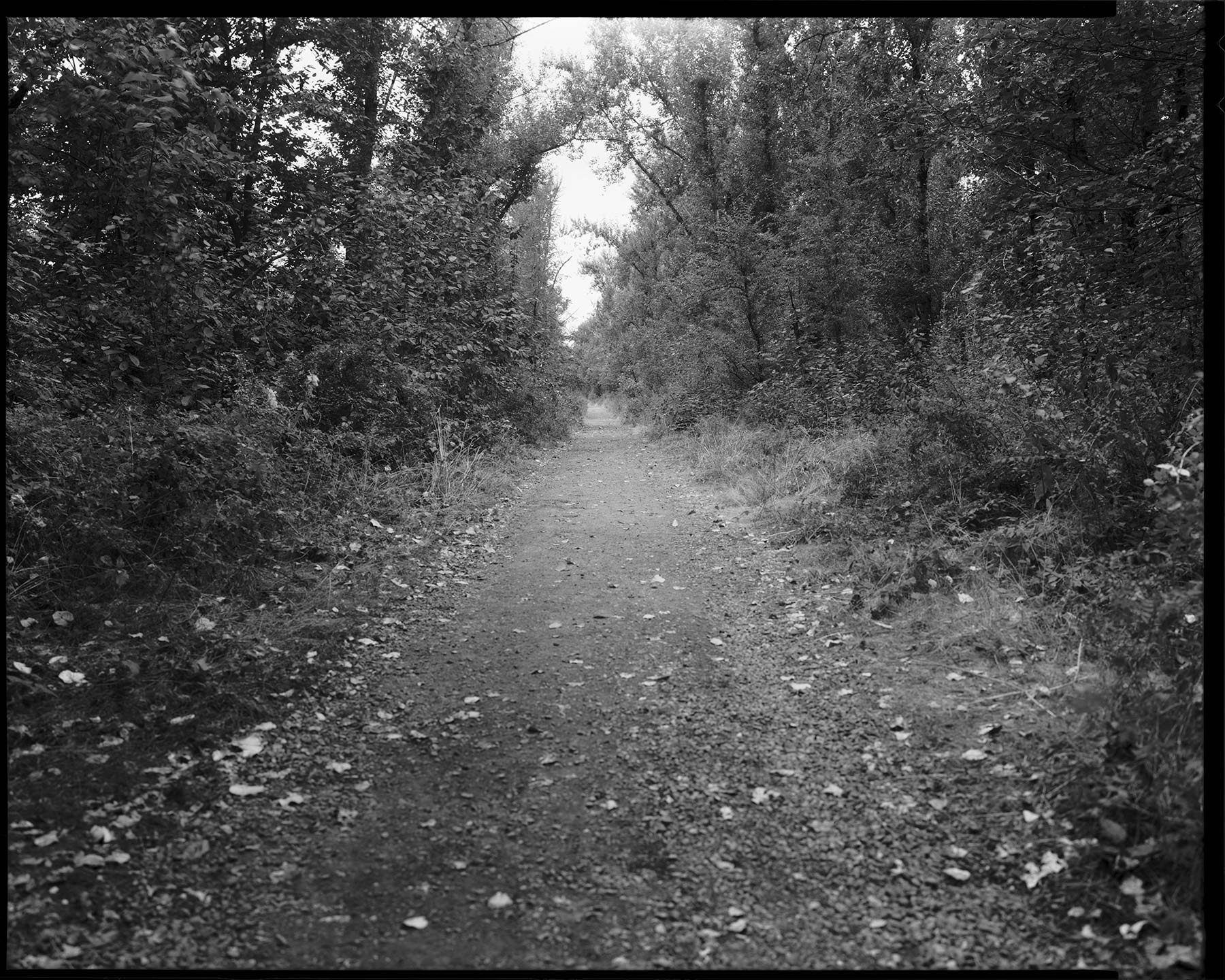 1000_acres.jpg