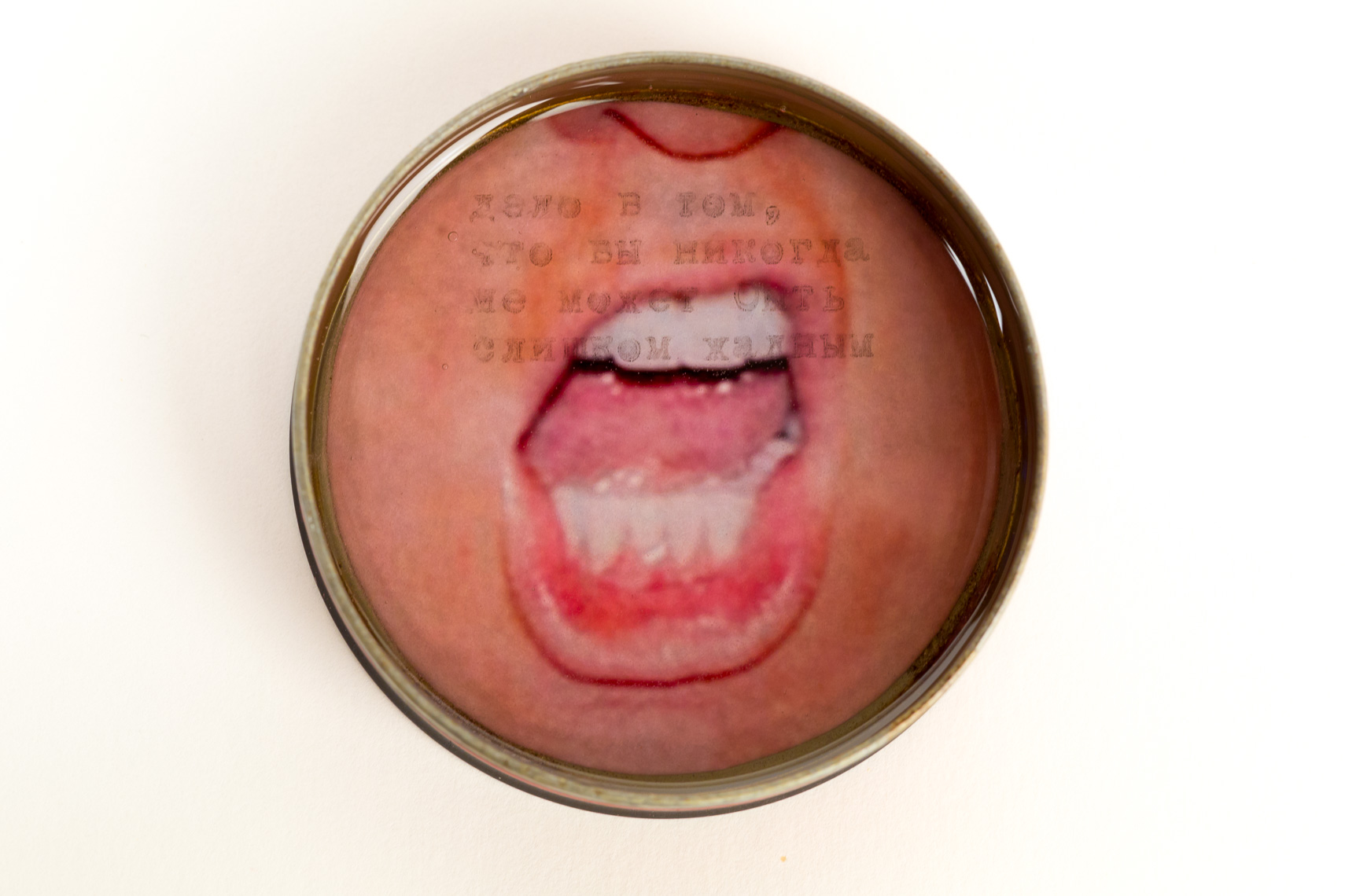 "Trumptin #1"