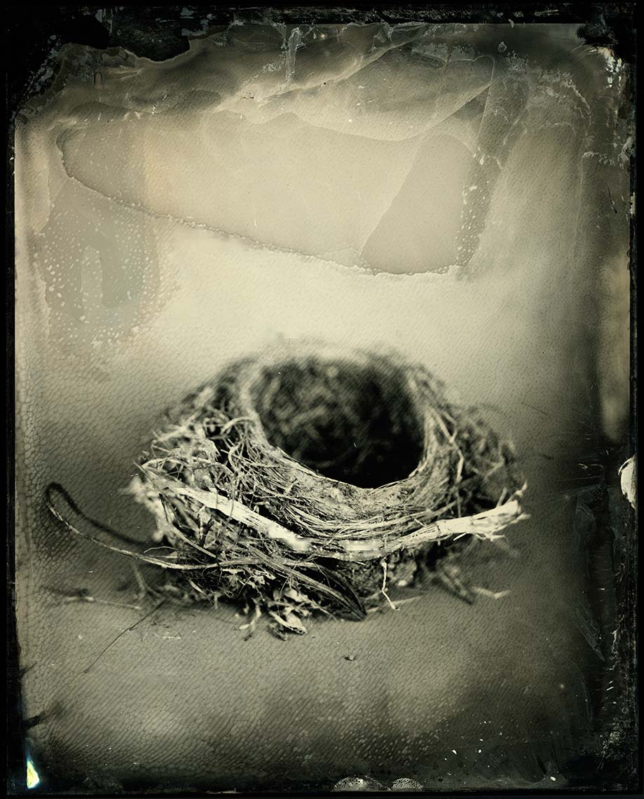 25_nest.jpg