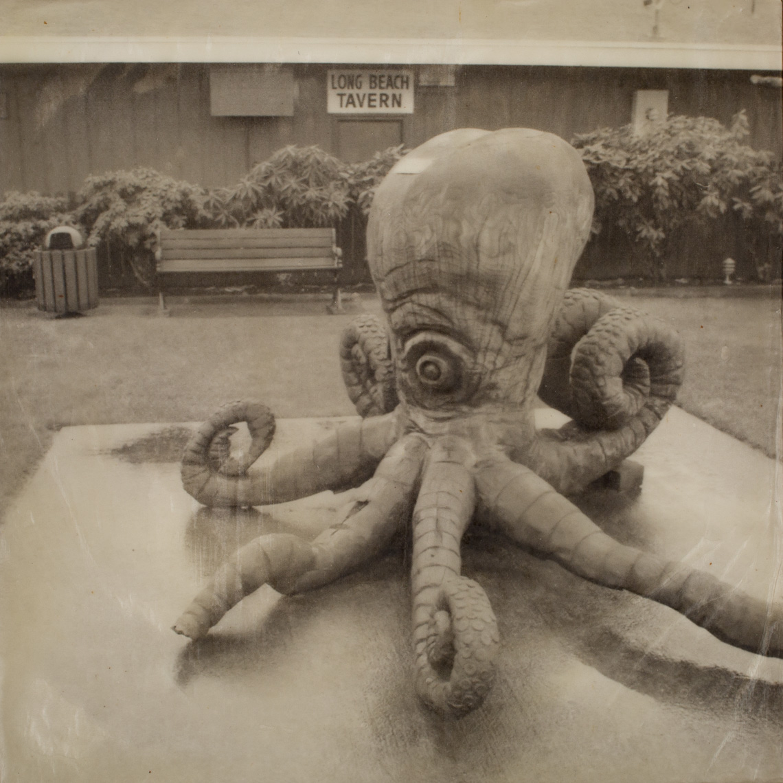 Long Beach, Octopus