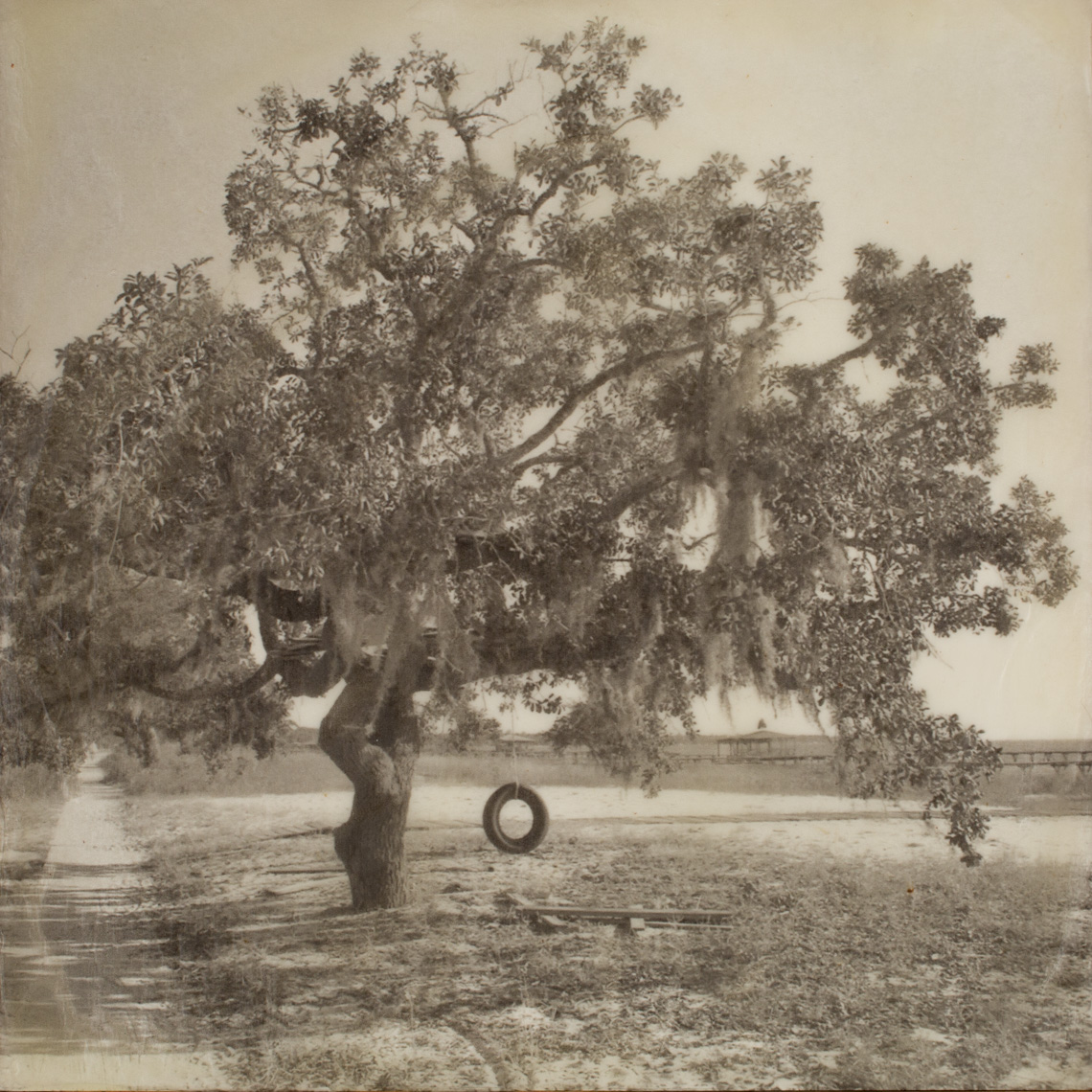 Mobile, Live Oak