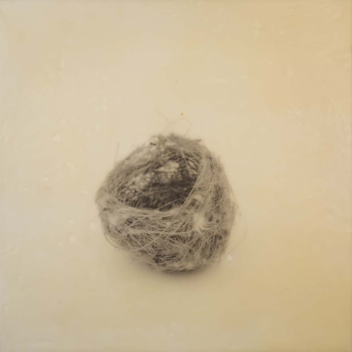 nest_encaustic_10