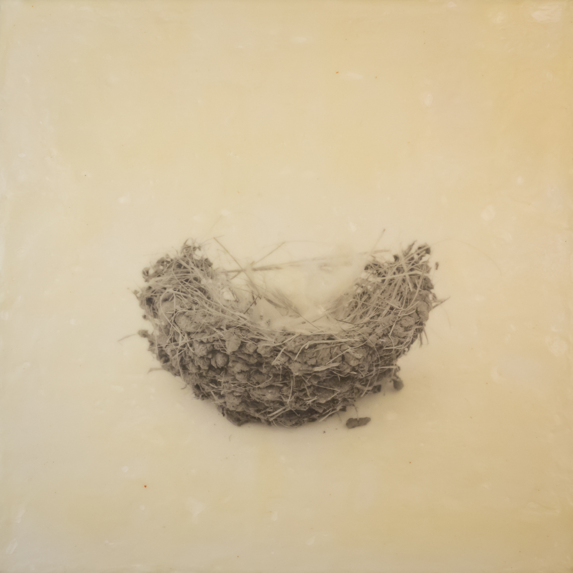 nest_encaustic_4