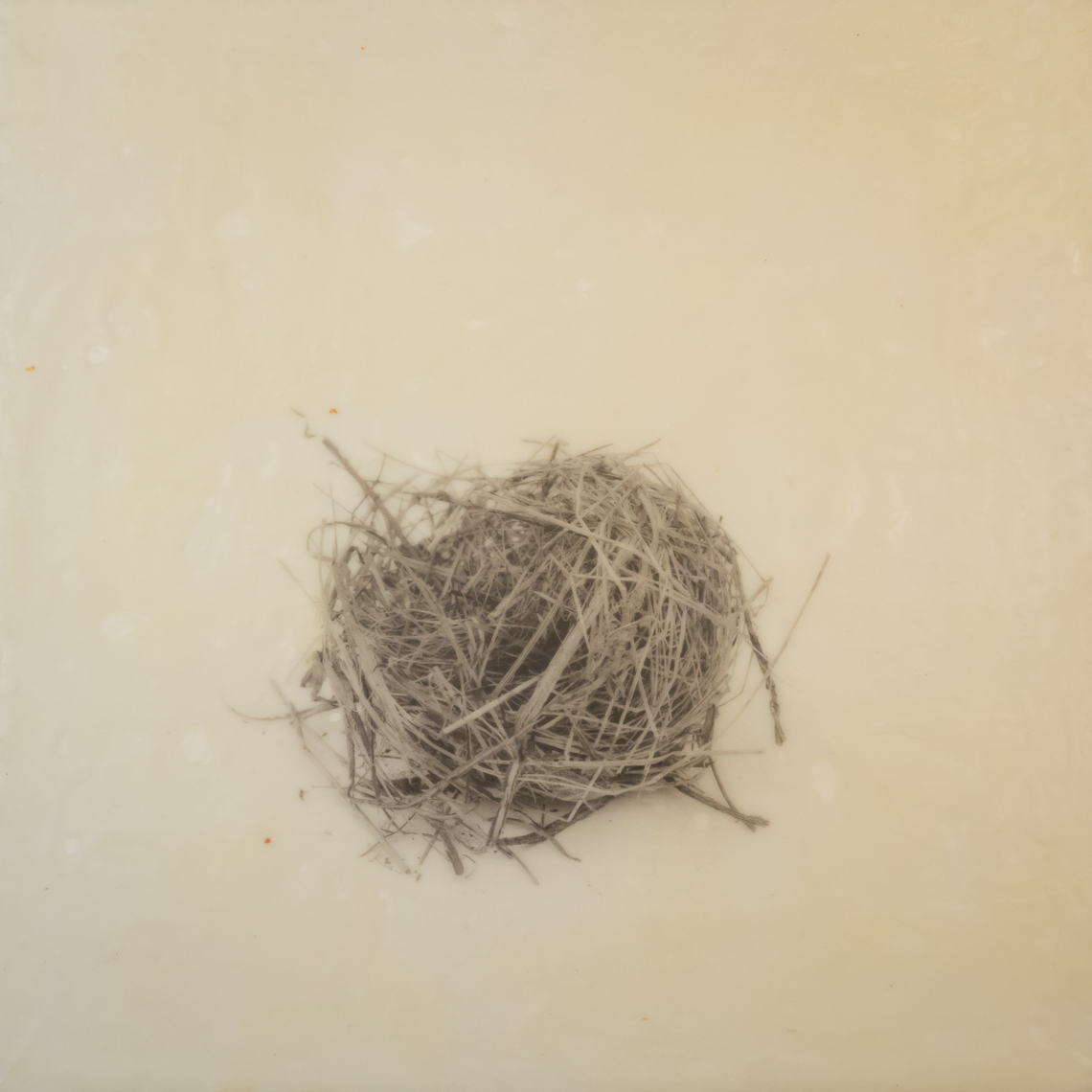 nest_encaustic_8